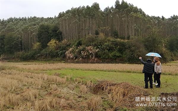 东区陈老师带着爱徒寻龙点穴