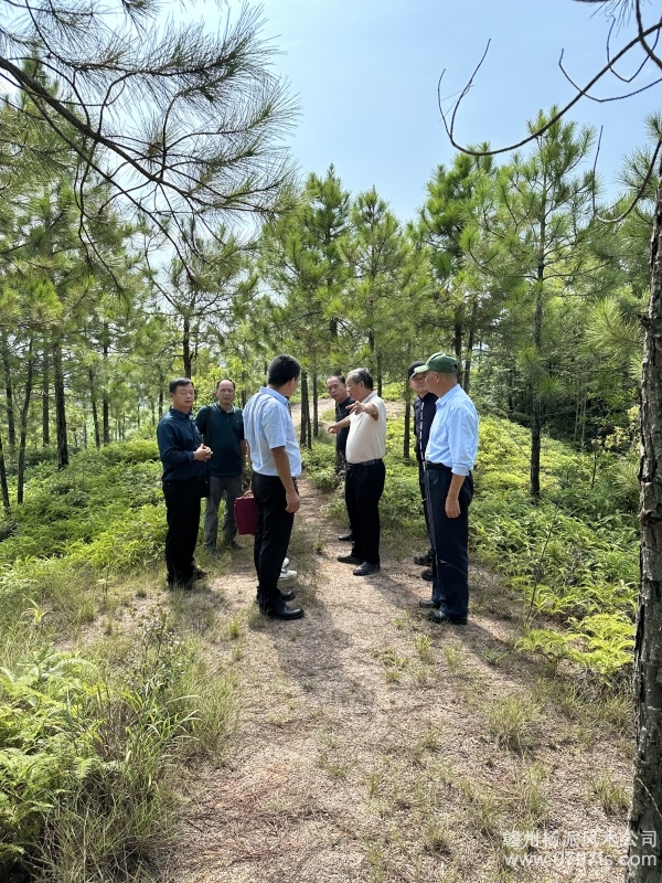 东区学杨公风水跟陈荣昌老师实在